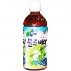 (펫)블루베리(340ml*20)연호
