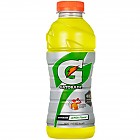 (펫)게토레이레몬(600ml*24)롯데칠성