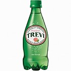 (펫)트레비 자몽500ml*24(롯데)